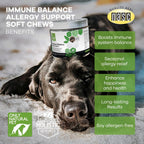 Only Natural Pet Immune Balance - Complemento Inmunológico para Perros y Gatos con Fitoesteroles, 60 Comprimidos