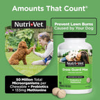 Nutri-Vet Grass Guard Masticables para Perros - Neutralizador de Orina y Apoyo Digestivo, 150 Comprimidos