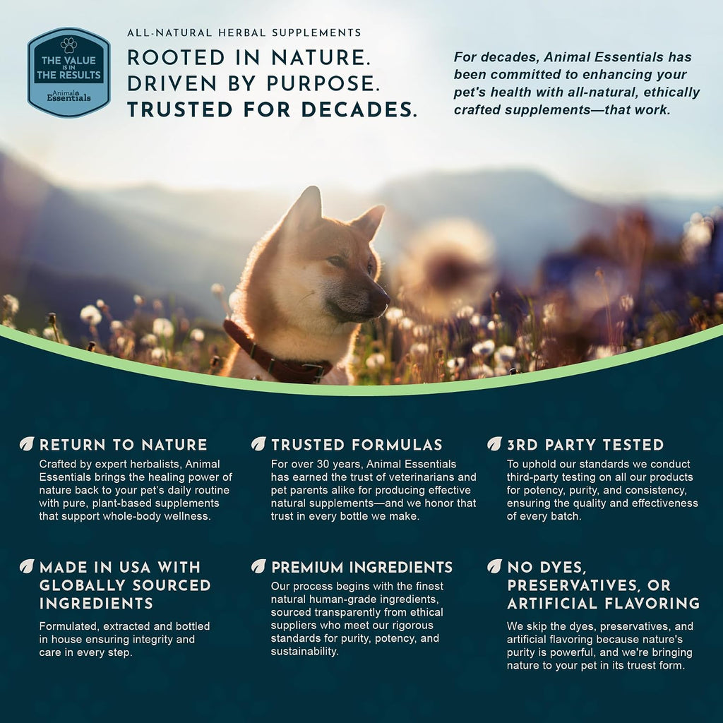 Animal Essentials Heart Health para Perros y Gatos - Suplemento Cardiovascular, Espino Blanco Orgánico, Tintura Herbal - 60 ml