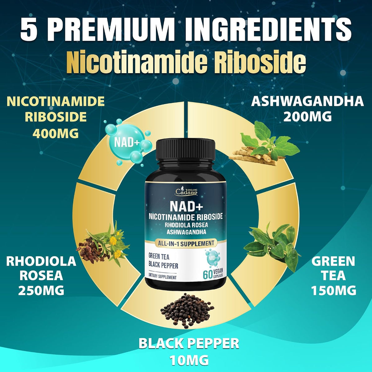 Organic Cadane Suplemento de Nicotinamida Ribósido con Rhodiola Rosea, Ashwagandha, Té Verde y Más | Salud Celular y Vitalidad | Vegano, No OGM – 60 Cápsulas - görsel 3