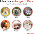 Brilliant Norwegian Salmon Oil for Dogs, Cats, Horse, Ferret - Pure Omega 3, 6 & 9 - 2x500 ml