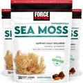 Force Factor Sea Moss Soft Chews, Gominolas de Musgo Irlandés, Sabor Caramelo Salado, 90 Gominolas (Pack de 3)