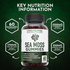 Irish Sea Moss Gummies 3000mg – Atlantis Nutrition