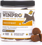 WINPRO Recovery Soft Chews para Perros, 60 masticables con plasma