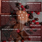 ChocoBerry Blast Superfood Powder – Mezcla Adaptógena de Superbayas con Remolacha, Champiñones y Polifenoles – Apoyo para la Recuperación, Energía y Salud Intestinal – Chocolate (480g)