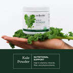 Eclectic Herb - Kale en polvo ecológico, superalimento verde con vitaminas y minerales, 90 g
