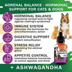 Adrenal Balance para Perros y Gatos - Tratamiento de Cushing, Apoyo Adrenal con Ashwagandha, Raíz de Regaliz, Rhodiola Rosea - 60ml Gotas Herbales