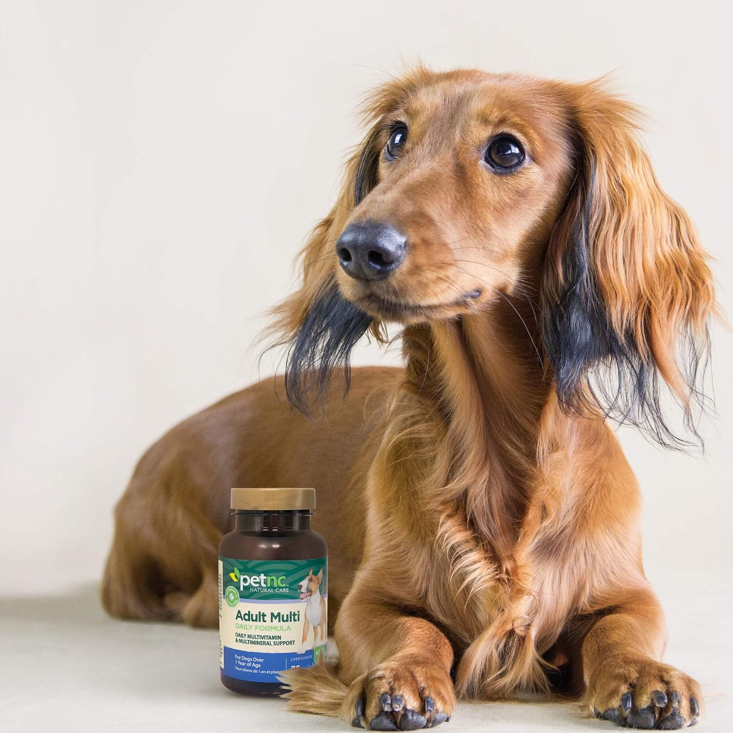 Petnc Adult Multi Chewables Multivitamin for Dogs, 75 Count, Liver Flavor
