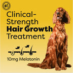 Doc Itchy Rejuvenating Hair-Grower Chews para Perros - 90 Unidades