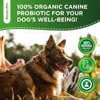 Probióticos Líquidos para Perros y Cachorros con Prebióticos y Enzimas Digestivas - Sabor Bacon - 60 ml