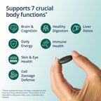 Metagenics PhytoMulti Iron-Free Multivitamin - 120 Tablets