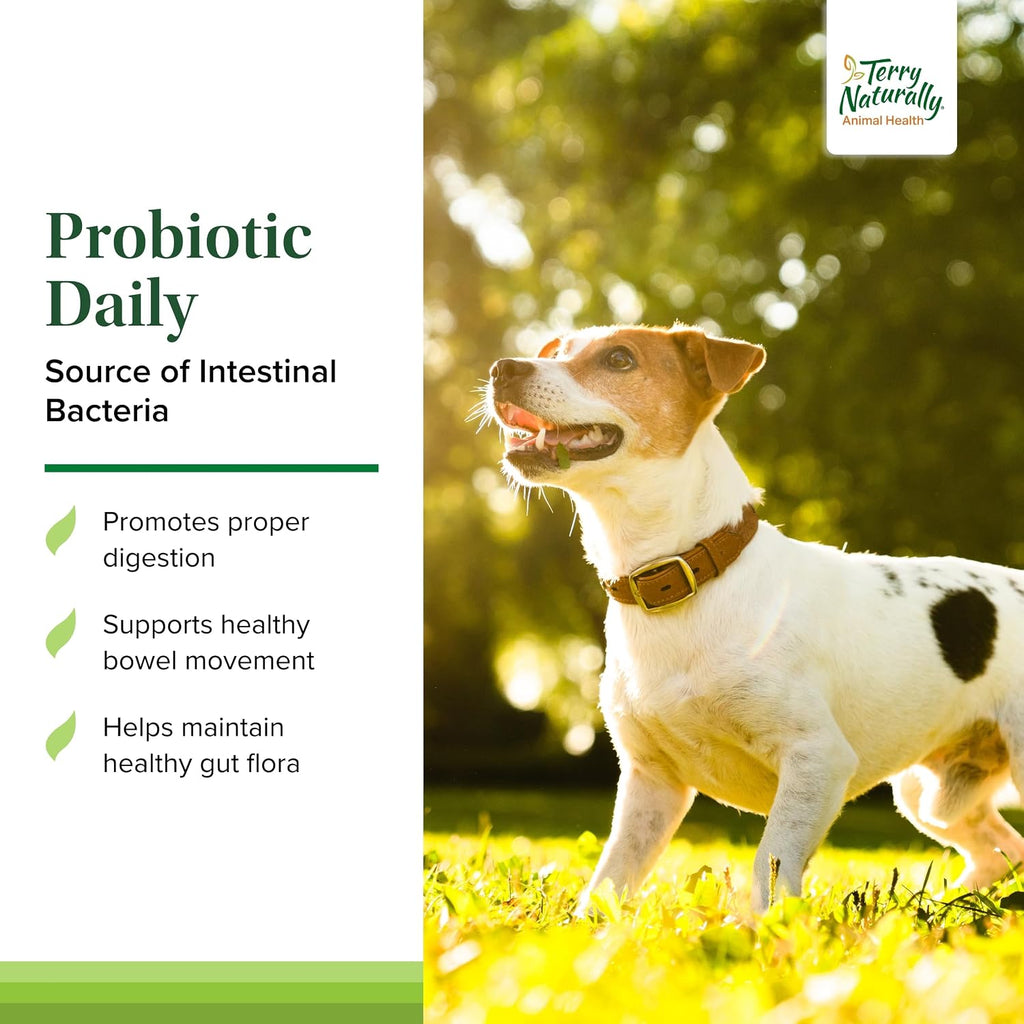 Terry Naturally Probiotic Daily - Probióticos para perros - 60 comprimidos masticables