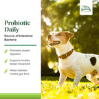 Terry Naturally Probiotic Daily - Probióticos para perros - 60 comprimidos masticables