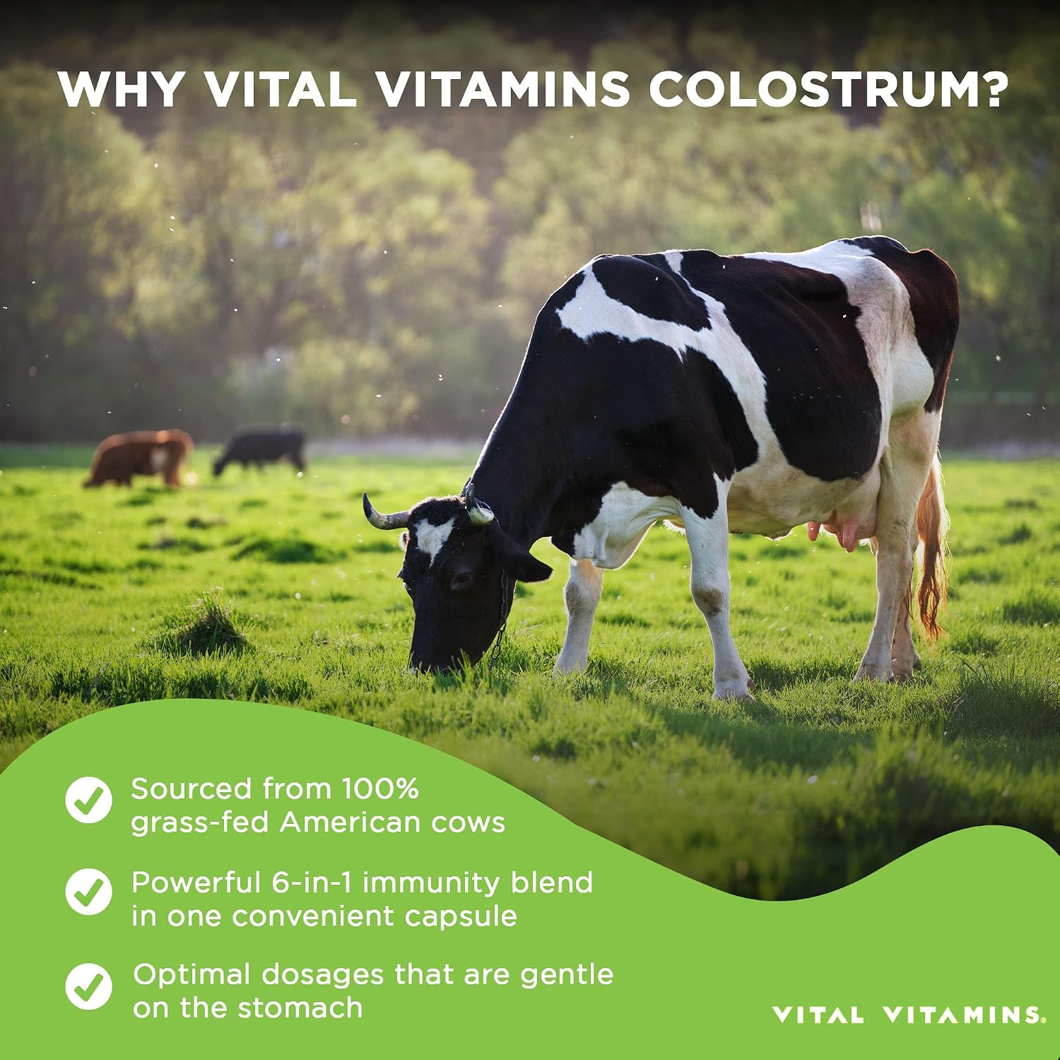 Suplemento de Calostro con Vitamina C, Zinc y Selenio - Vital Vitamins