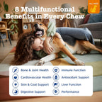 Zesty Paws Multivitamínico para Perros - 250 Comprimidos Masticables Sabor Pollo
