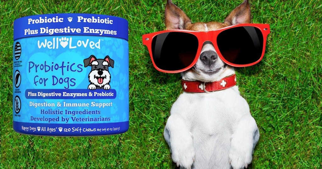 Well Loved Probióticos para Perros – Masticables Suaves con Prebióticos y Enzimas Digestivas
