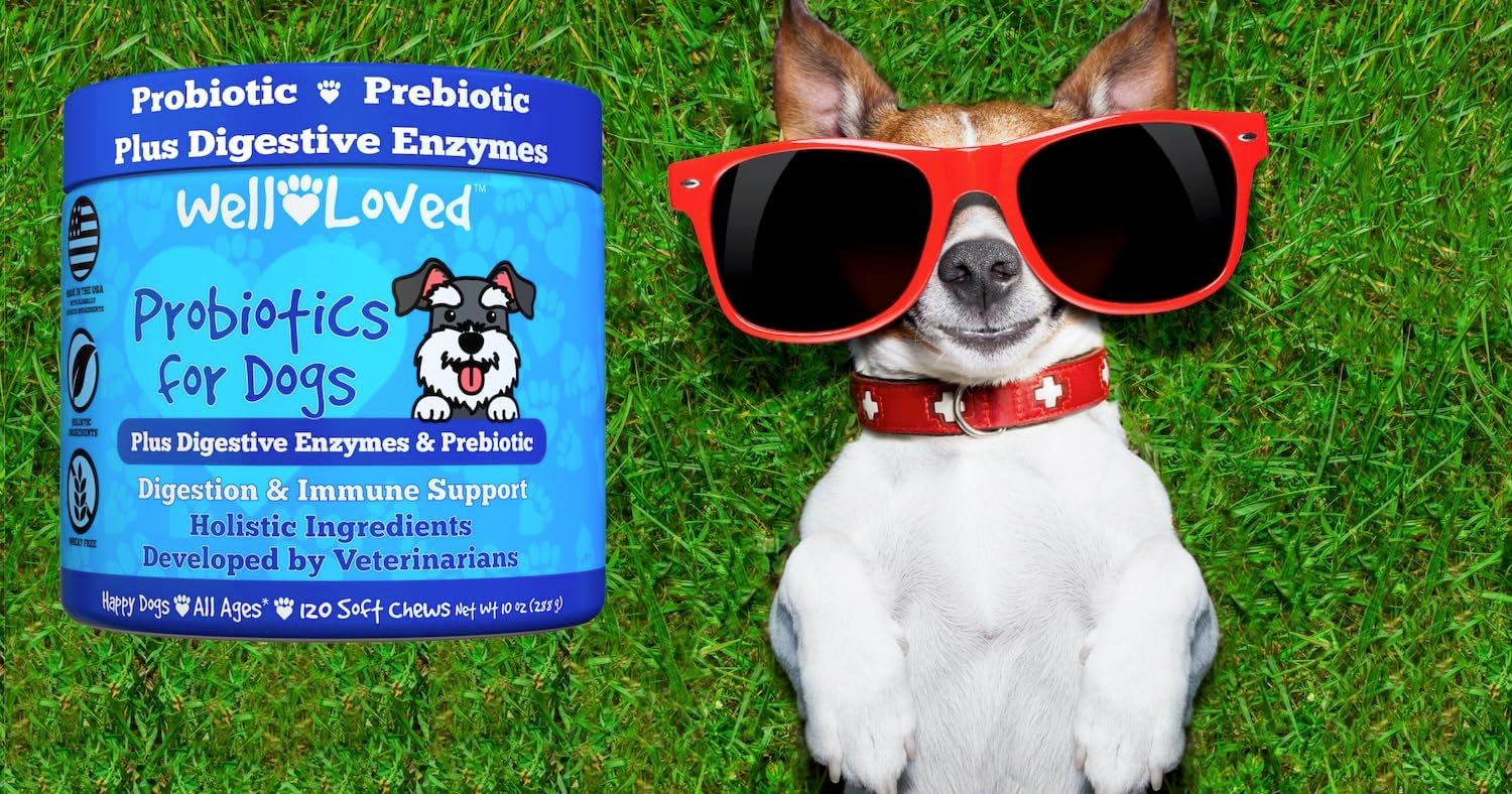 Well Loved Probióticos para Perros – Masticables Suaves con Prebióticos y Enzimas Digestivas