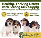 HAPPY JACK Milkade - Suplemento para perras lactantes, 56 g