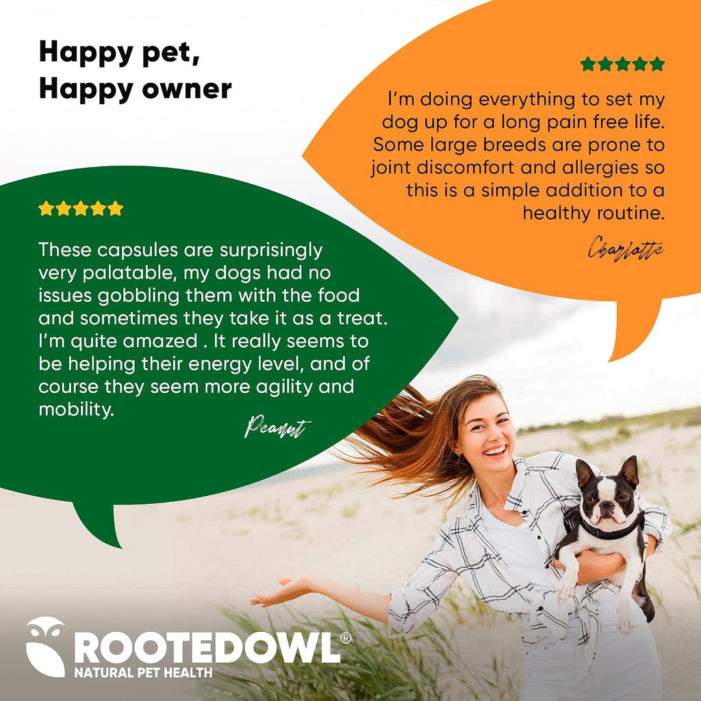 Rooted Owl® Cúrcuma para Perros y Gatos - Suplemento con Curcumina, Piperina y Vitamina C - 60 Cápsulas