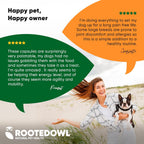 Rooted Owl® Cúrcuma para Perros y Gatos - Suplemento con Curcumina, Piperina y Vitamina C - 60 Cápsulas