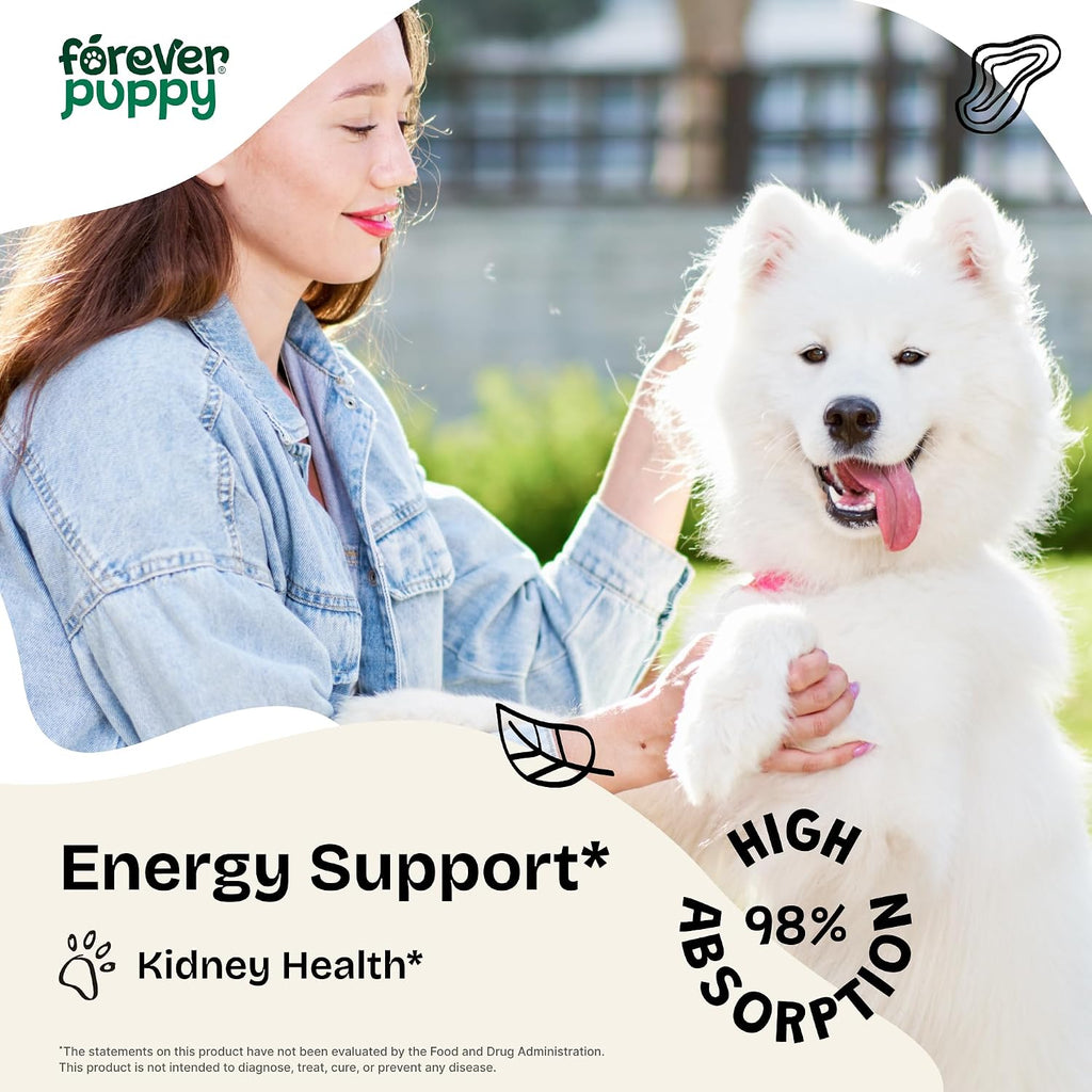 Tintura de Cordyceps para Perros - Apoyo Renal y Energía Natural - 60 ml