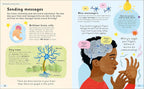 Wonderfully Wired Brains: Una introducción al mundo de la neurodiversidad