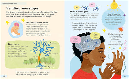 Wonderfully Wired Brains: Una introducción – Inclusión en la escuela y el hogar : Proporciona herramientas para – Image 4