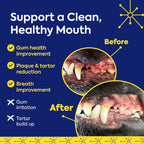 TEEF FOR LIFE Protektin42 Prebiótico Dental para Perros - Recarga de 30 Porciones