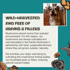 Vitality - 20-in-1 Turkey Tail Mushroom for Dogs - Mushroom & Adaptogen Supplement for Senior Dogs - Supporting Immune Health & Daily Wellness - with Reishi, Chaga