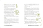 The Homestead Herbal Remedies Guide: Nurture Wellness with Safe and Natural Solutions (The Homestead Essentials)