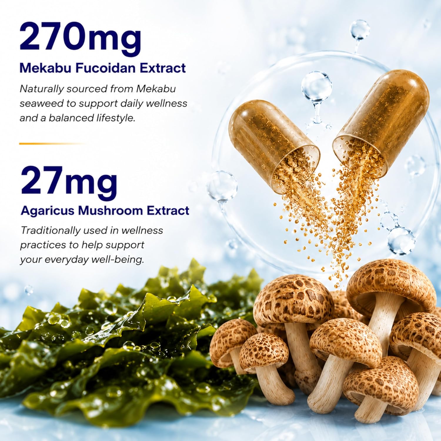 FINE JAPAN Cápsulas de Fucoidan con Alga Mekabu y Hongo Agaricus - 30 Cápsulas