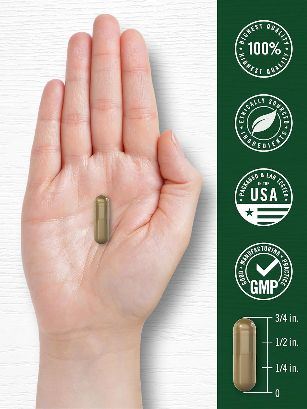 Carlyle Cápsulas de Ajenjo Dulce | 200 Cápsulas | Artemisia Annua | Suplemento No Transgénico y Sin Gluten