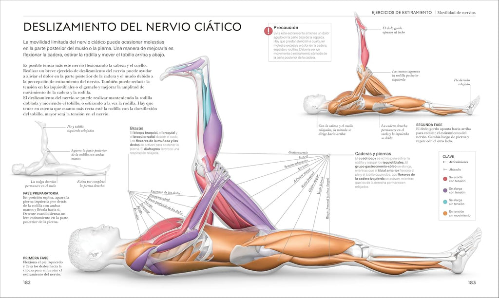 Estiramientos (Science of Stretch) (The Science of Fitness) (Spanish Edition)