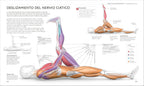 Estiramientos (Science of Stretch) (The Science of Fitness) (Spanish Edition)