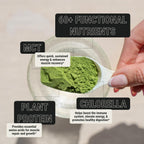 ON3 Athletic Greens & Superfood Blend con Chlorella - 5 porciones