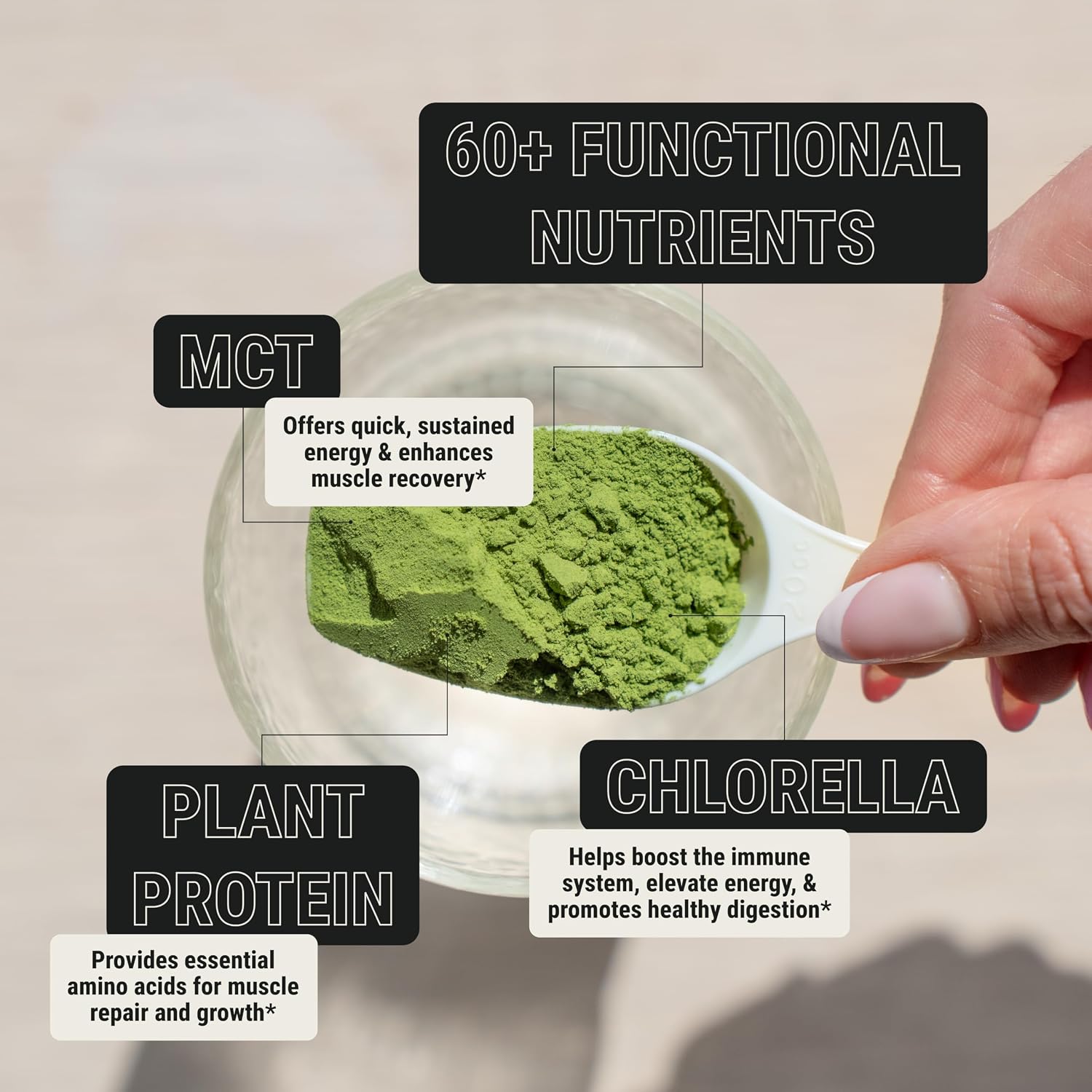 ON3 Athletic Greens & Superfood Blend con Chlorella - 5 porciones