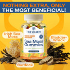 TrueSeaMoss Irish Sea Moss Gummies con Bardana y Fucus – Fórmula para Adultos y Niños – 60 Gominolas