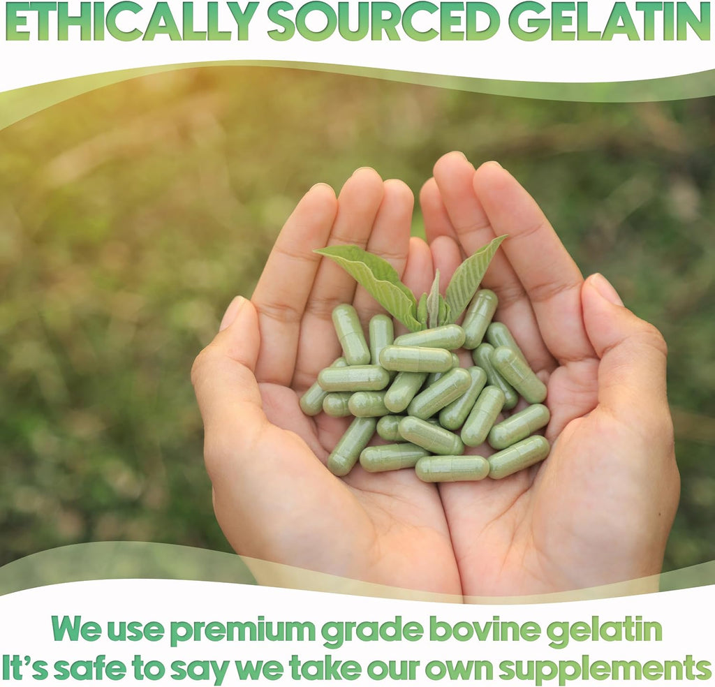 XPRS Nutra Cápsulas Vacías Tamaño 0 - 5000 uds Gelatina Bovina Transparente