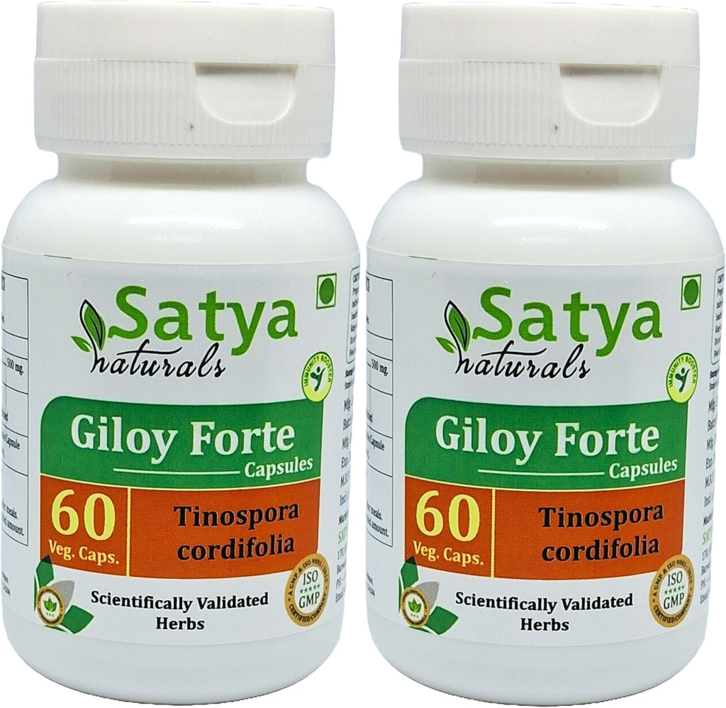 Giloy Forte 500 mg - 60 Cápsulas Veganas - Extracto de Guduchi (Tinospora Cordifolia) - Suplemento Ayurvédico