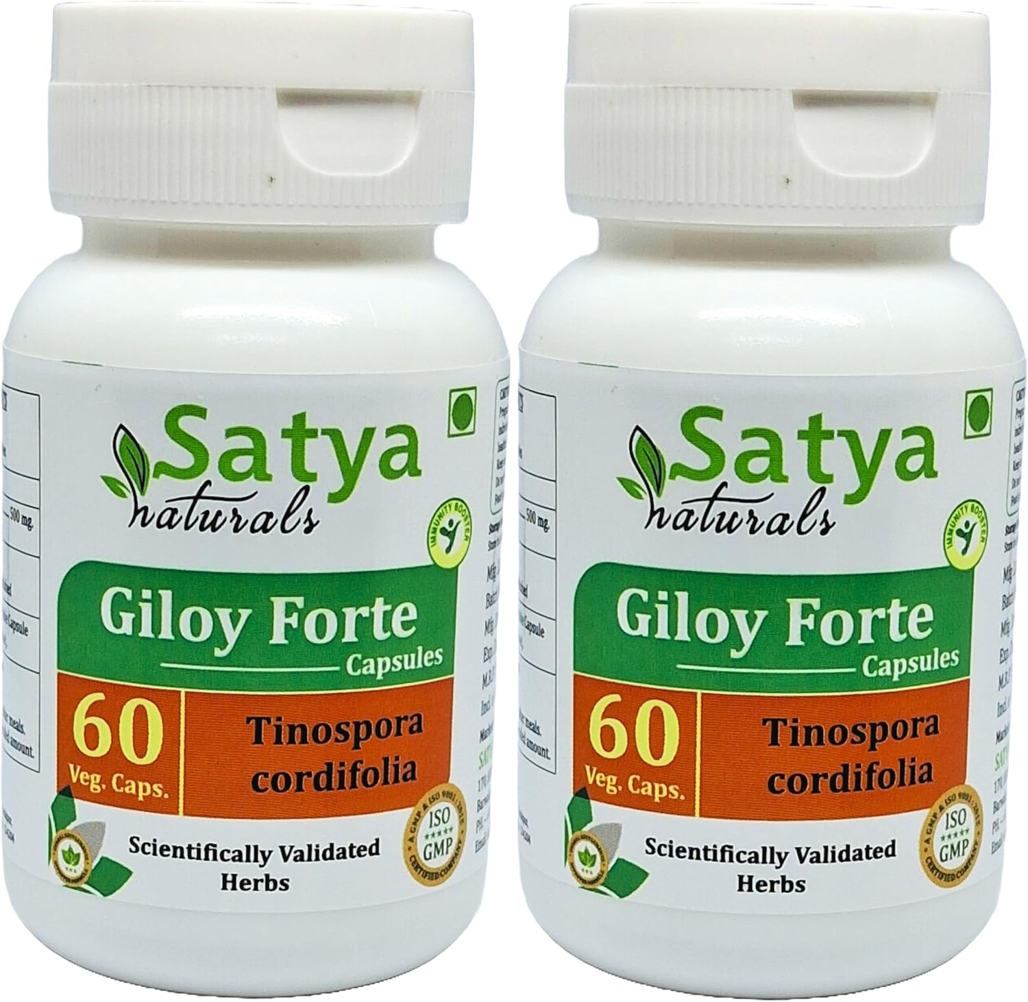 Giloy Forte 500 mg - 60 Cápsulas Veganas - Extracto de Guduchi (Tinospora Cordifolia) - Suplemento Ayurvédico