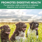 Holistic Bin Canine Fermented Farmer's Blend - Mezcla Fermentada de Calabaza, Espinacas y Vegetales (50g)