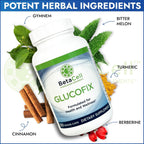 Glucofix – Complemento de Berberina para el Apoyo del Azúcar en Sangre – 120 Cápsulas