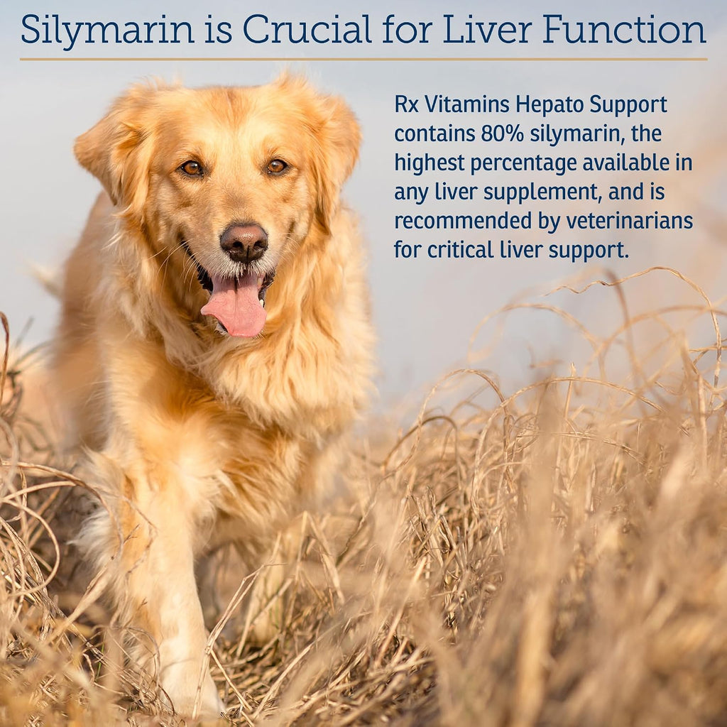 Rx Vitamins Hepato Support para Perros y Gatos - Complemento Hepático con Cardo Mariano y Vitamina B - 180 Cápsulas