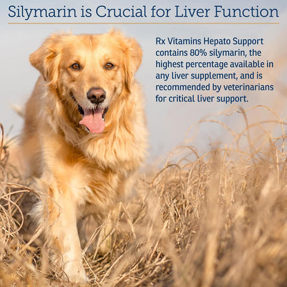 Rx Vitamins Hepato Support – Complemento – Extracto de cardo mariano (Silybum marianum): Fuente de silimarina, un – Image 4