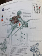 Anatomía del entrenamiento de fuerza