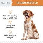 Chew + Heal Labs Aceite de Pescado Omega 3 para Perros Pequeños y Cachorros - 180 Mini Cápsulas Blandas - 300mg Aceite de Salmón Salvaje - EPA y DHA