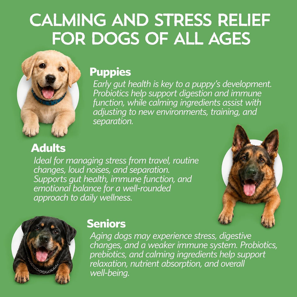 Relaxin’ Rover Suplemento Calmante con Probióticos para Perros con Valeriana, Manzanilla y GABA para Alivio del Estrés y la Ansiedad, Delicioso Sabor a Hueso T-Bone, 20 Dosis