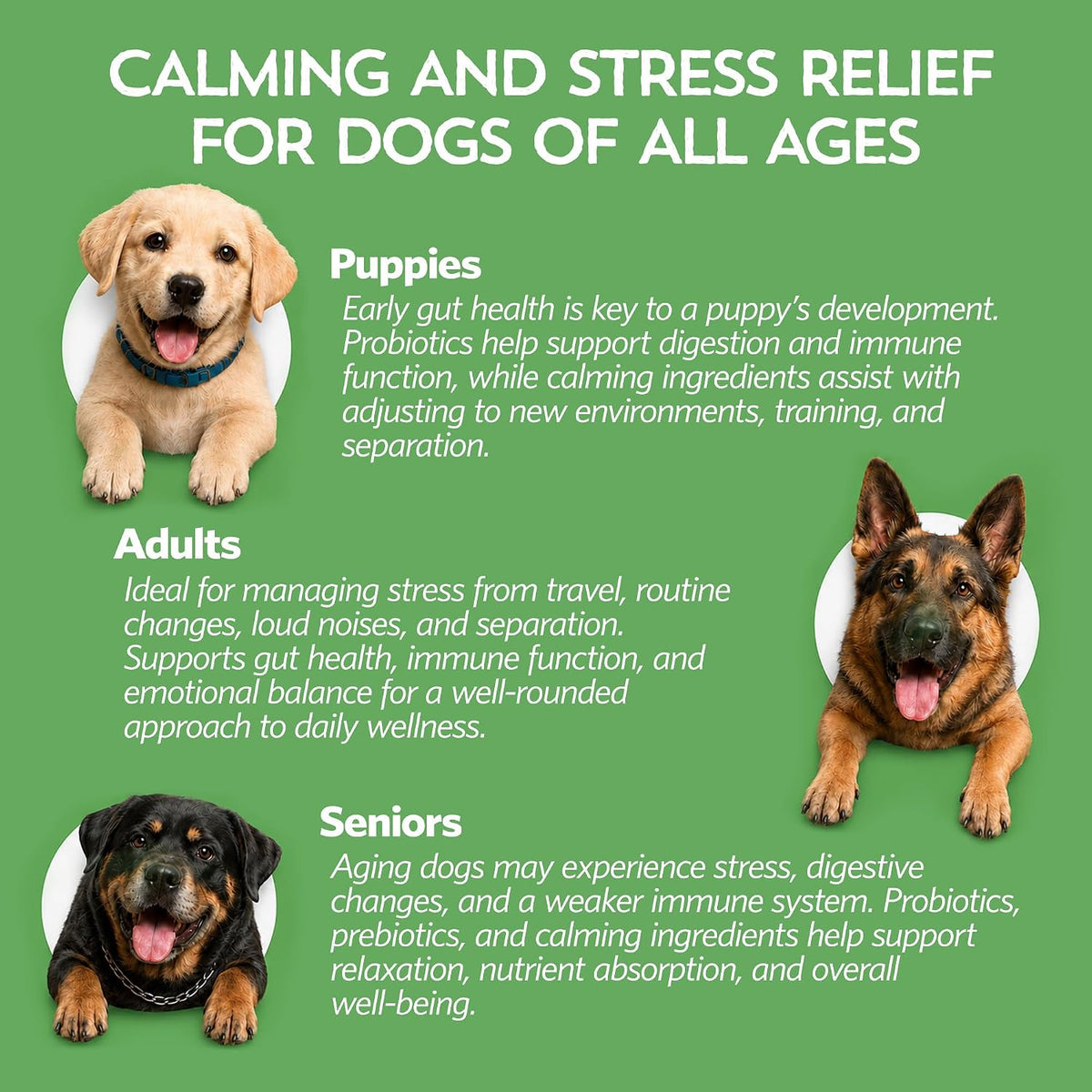 Relaxin’ Rover Suplemento Calmante con Probióticos para Perros con Valeriana, Manzanilla y GABA para Alivio del Estrés y la – Image 5