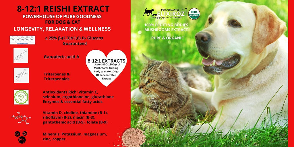 Extracto de Reishi para Perros y Gatos – 35%+ Beta Glucanos – Cuerpo Fructífero (Concentrado 8:1-12:1) – Apoyo Inmunitario, Calma y Relajación – Sin Rellenos – 250 dosis