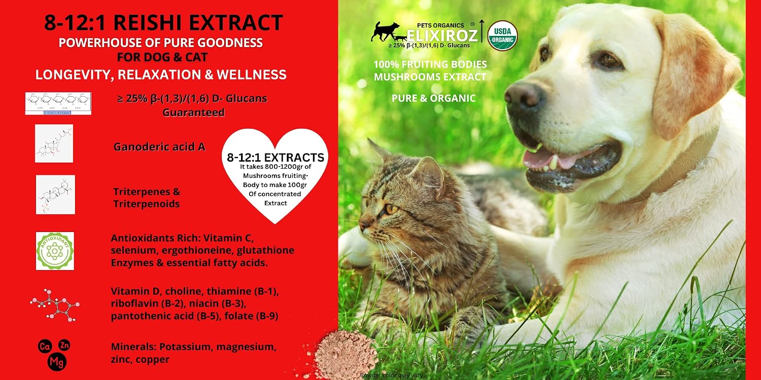 Extracto de Reishi para Perros y Gatos – 35%+ Beta Glucanos – Cuerpo Fructífero (Concentrado 8:1-12:1) – Apoyo Inmunitario, Calma y Relajación – Sin Rellenos – 250 dosis